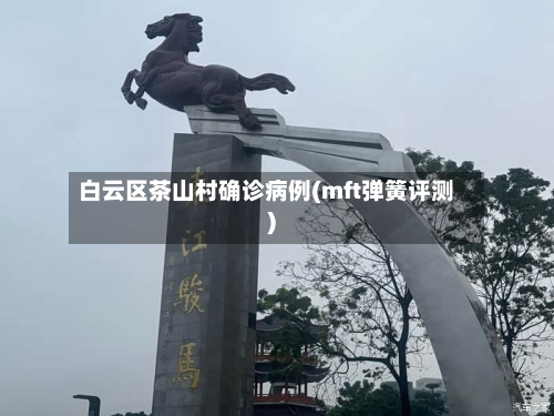 白云区茶山村确诊病例(mft弹簧评测)-第3张图片