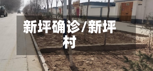 新坪确诊/新坪村-第2张图片