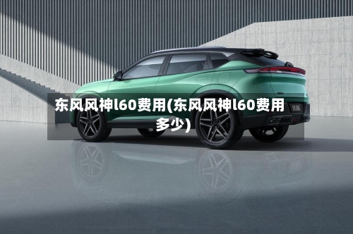 东风风神l60费用(东风风神l60费用多少)