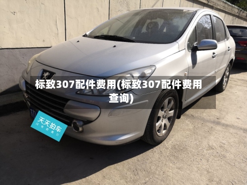 标致307配件费用(标致307配件费用查询)-第2张图片