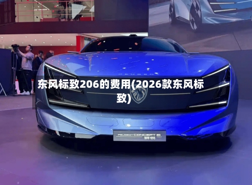 东风标致206的费用(2026款东风标致)-第2张图片