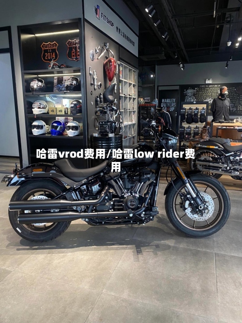 哈雷vrod费用/哈雷low rider费用