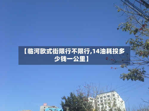 【临河欧式街限行不限行,14油耗投多少钱一公里】