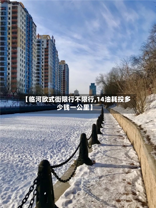 【临河欧式街限行不限行,14油耗投多少钱一公里】-第2张图片