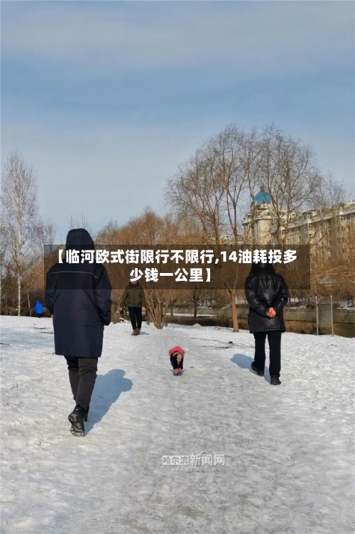 【临河欧式街限行不限行,14油耗投多少钱一公里】-第3张图片