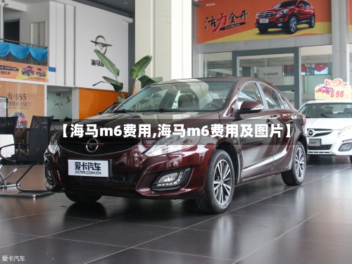 【海马m6费用,海马m6费用及图片】-第3张图片