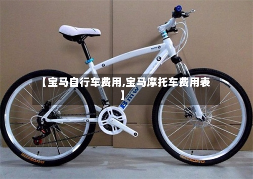 【宝马自行车费用,宝马摩托车费用表】-第3张图片
