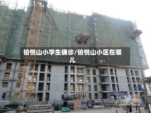 铂悦山小学生确诊/铂悦山小区在哪儿-第2张图片
