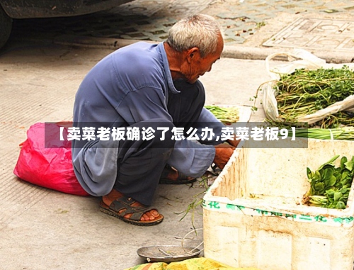 【卖菜老板确诊了怎么办,卖菜老板9】