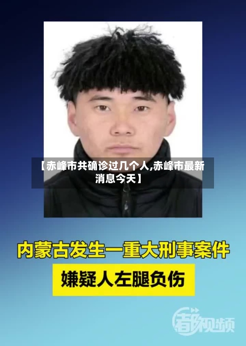 【赤峰市共确诊过几个人,赤峰市最新消息今天】-第3张图片