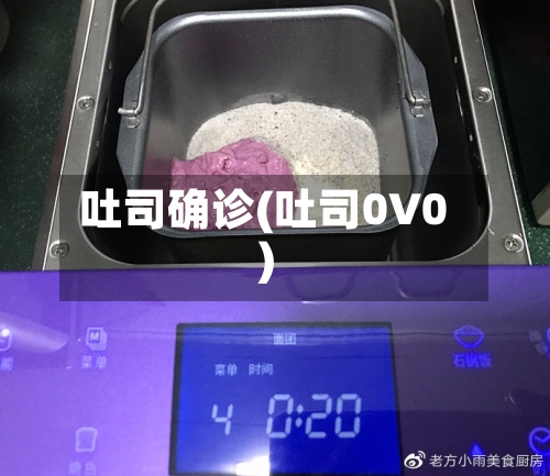 吐司确诊(吐司0V0)