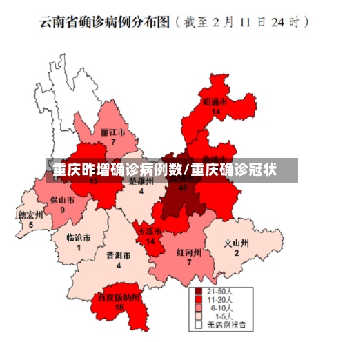 重庆昨增确诊病例数/重庆确诊冠状-第2张图片