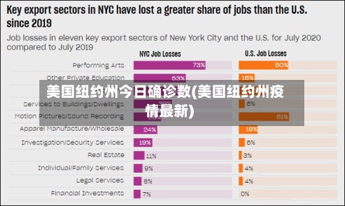 美国纽约州今日确诊数(美国纽约州疫情最新)