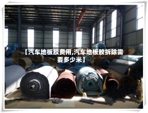 【汽车地板胶费用,汽车地板胶拆除需要多少米】
