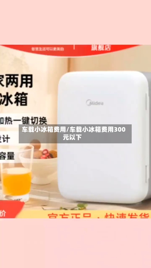 车载小冰箱费用/车载小冰箱费用300元以下-第3张图片