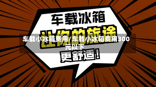 车载小冰箱费用/车载小冰箱费用300元以下