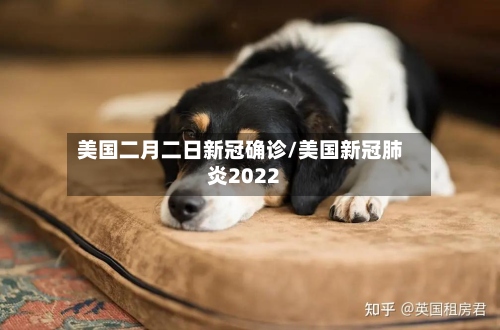 美国二月二日新冠确诊/美国新冠肺炎2022-第2张图片