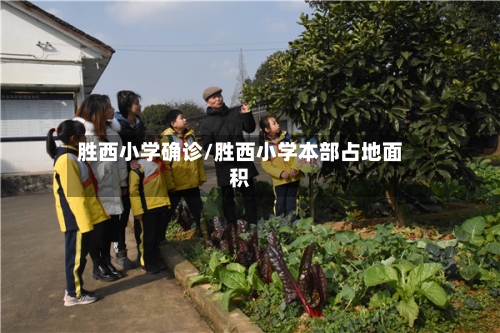 胜西小学确诊/胜西小学本部占地面积