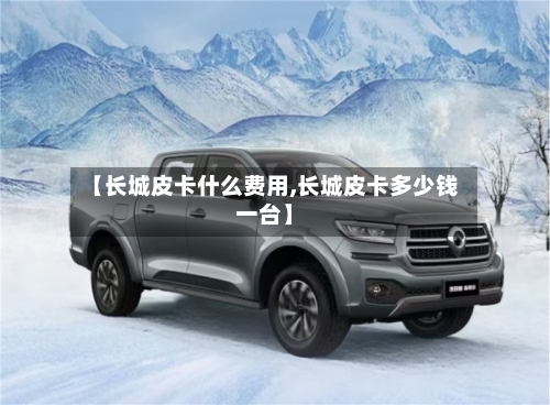 【长城皮卡什么费用,长城皮卡多少钱一台】-第2张图片