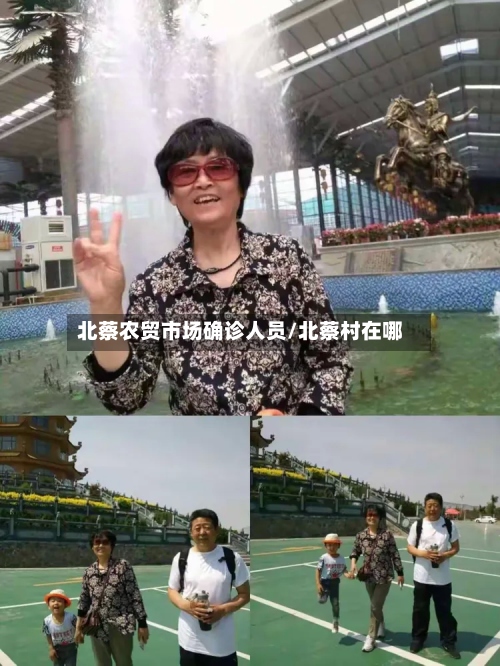 北蔡农贸市场确诊人员/北蔡村在哪