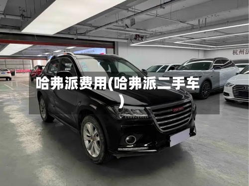 哈弗派费用(哈弗派二手车)