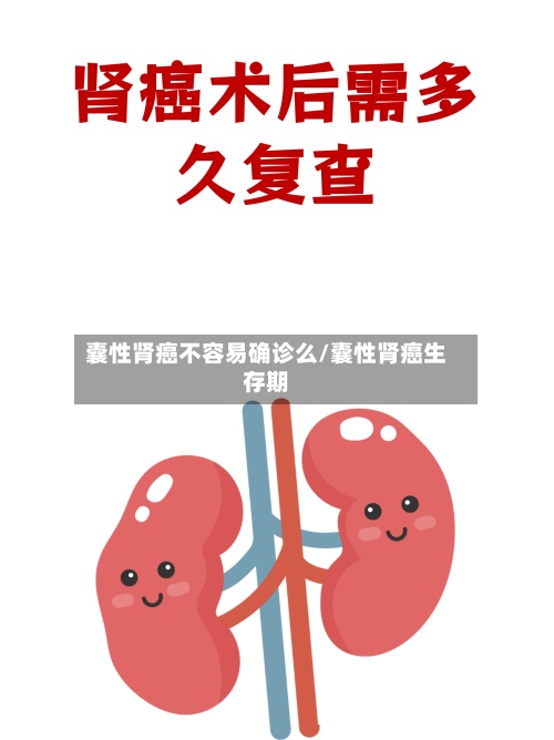 囊性肾癌不容易确诊么/囊性肾癌生存期