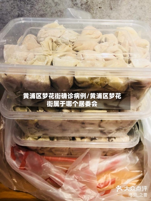 黄浦区梦花街确诊病例/黄浦区梦花街属于哪个居委会-第2张图片