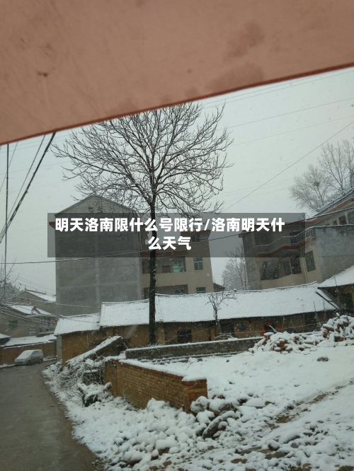 明天洛南限什么号限行/洛南明天什么天气-第2张图片