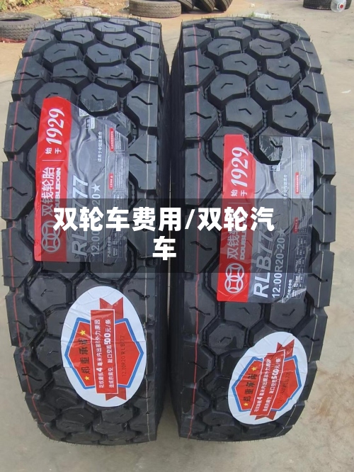 双轮车费用/双轮汽车-第2张图片