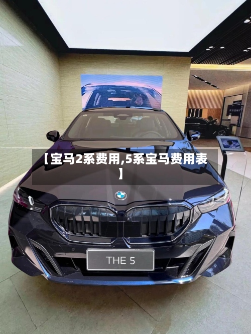 【宝马2系费用,5系宝马费用表】-第2张图片