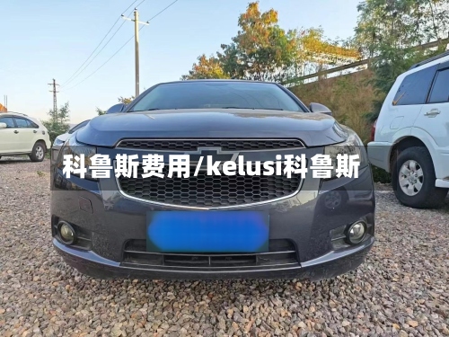 科鲁斯费用/kelusi科鲁斯