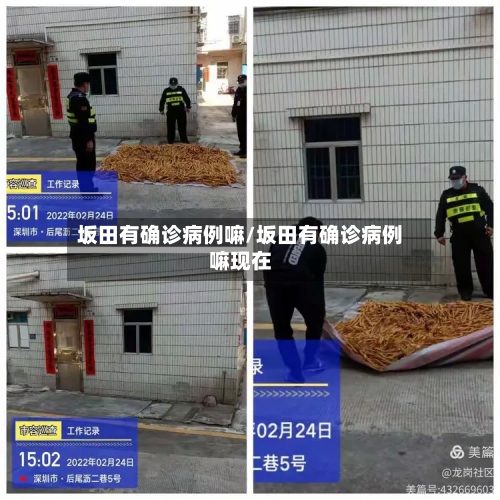 坂田有确诊病例嘛/坂田有确诊病例嘛现在-第2张图片