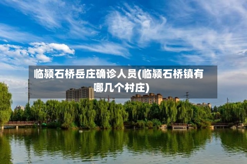 临颍石桥岳庄确诊人员(临颍石桥镇有哪几个村庄)-第2张图片