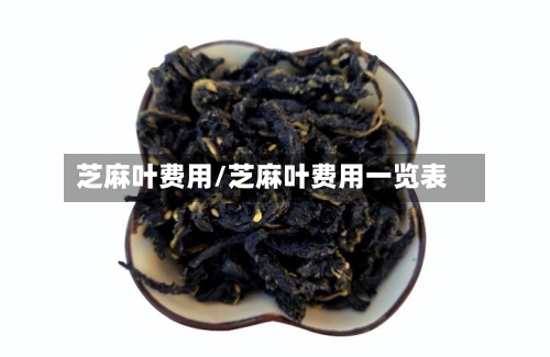 芝麻叶费用/芝麻叶费用一览表