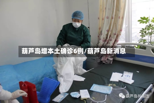 葫芦岛增本土确诊6例/葫芦岛新消息-第2张图片