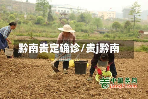 黔南贵定确诊/贵j黔南