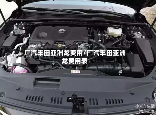 广汽丰田亚洲龙费用/广汽丰田亚洲龙费用表-第2张图片