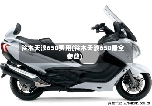 铃木天浪650费用(铃木天浪650最全参数)-第3张图片
