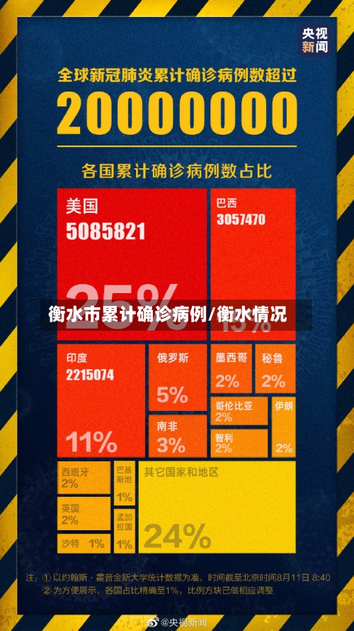 衡水市累计确诊病例/衡水情况