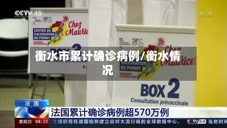 衡水市累计确诊病例/衡水情况-第3张图片