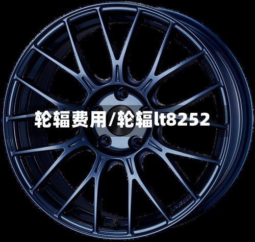 轮辐费用/轮辐lt8252-第2张图片