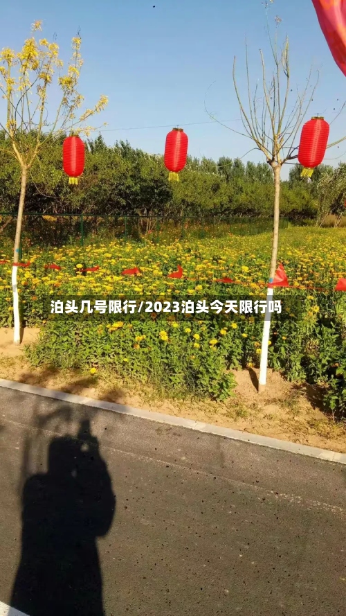 泊头几号限行/2023泊头今天限行吗-第2张图片