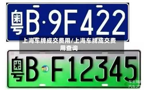 上海车牌成交费用/上海车牌成交费用查询