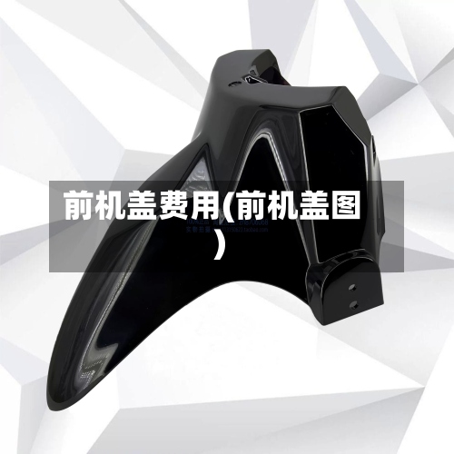 前机盖费用(前机盖图)-第2张图片