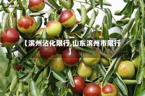 【滨州沾化限行,山东滨州市限行】-第2张图片