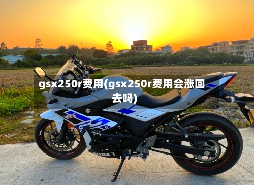 gsx250r费用(gsx250r费用会涨回去吗)-第3张图片