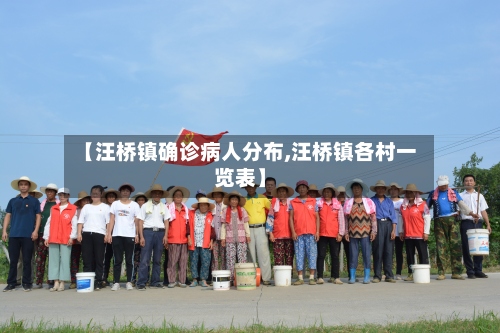 【汪桥镇确诊病人分布,汪桥镇各村一览表】-第2张图片