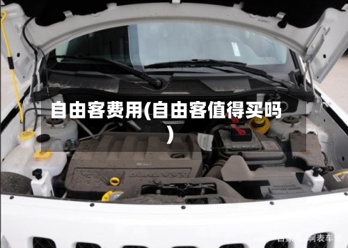 自由客费用(自由客值得买吗)