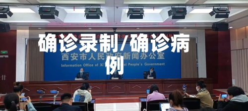 确诊录制/确诊病例-第2张图片