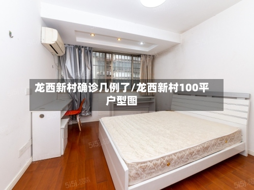龙西新村确诊几例了/龙西新村100平户型图-第2张图片